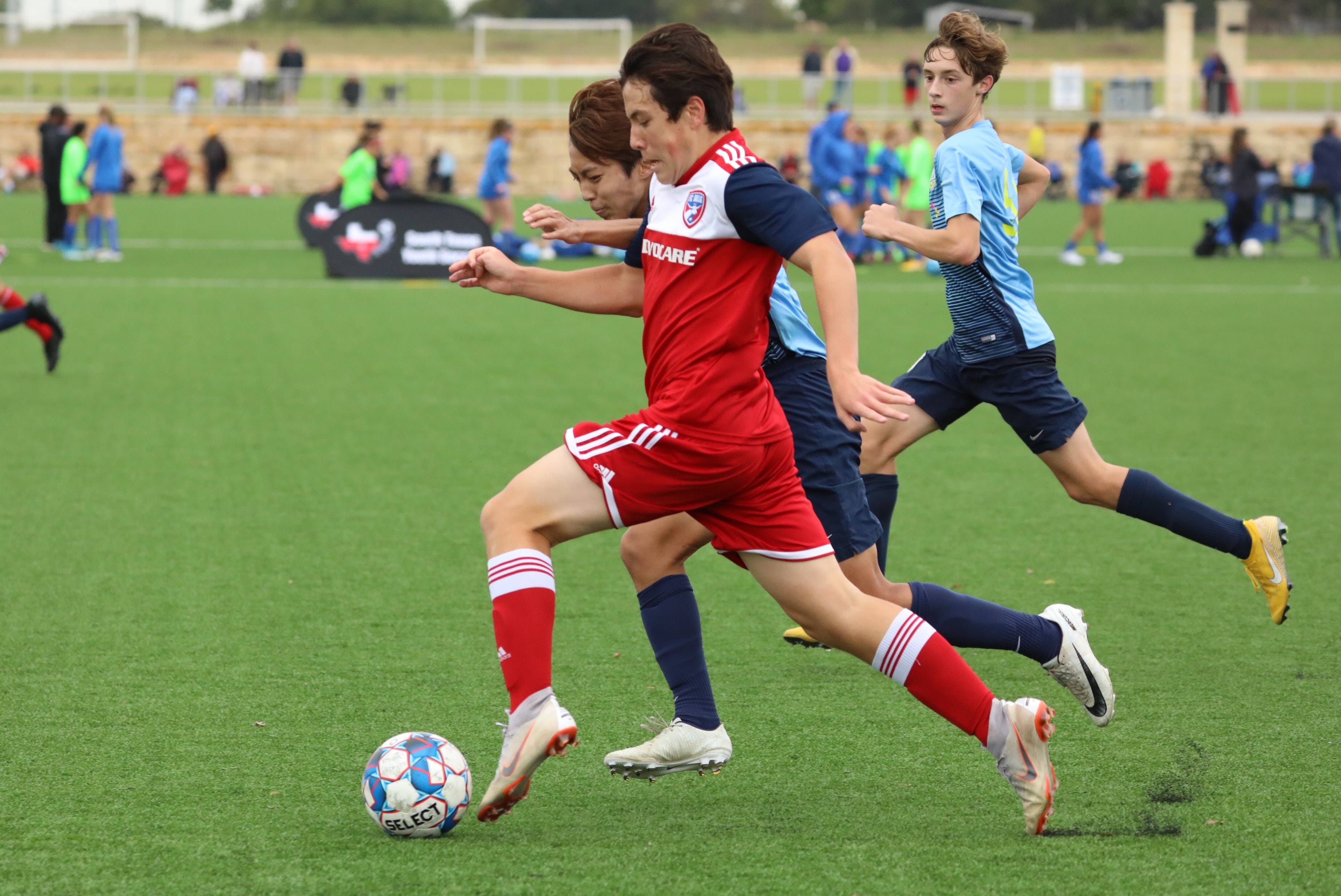 乒乓球运动 乒乓球运动