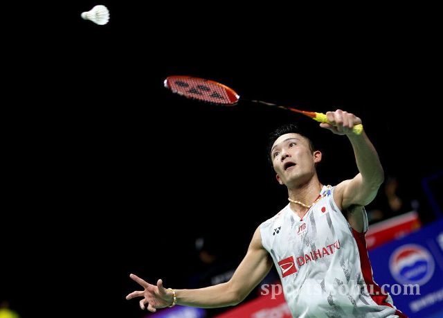 较大的波动 较大的波动