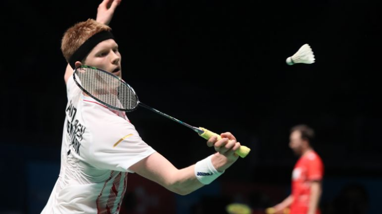 无疑成为球 无疑成为球